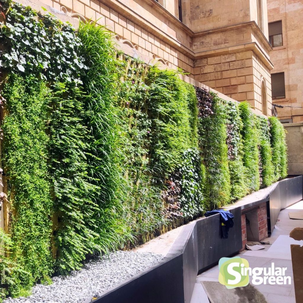 Jardín vertical antiguo edificio banco de España Centro Internacional del Español (CIE-USAL), en salamanca