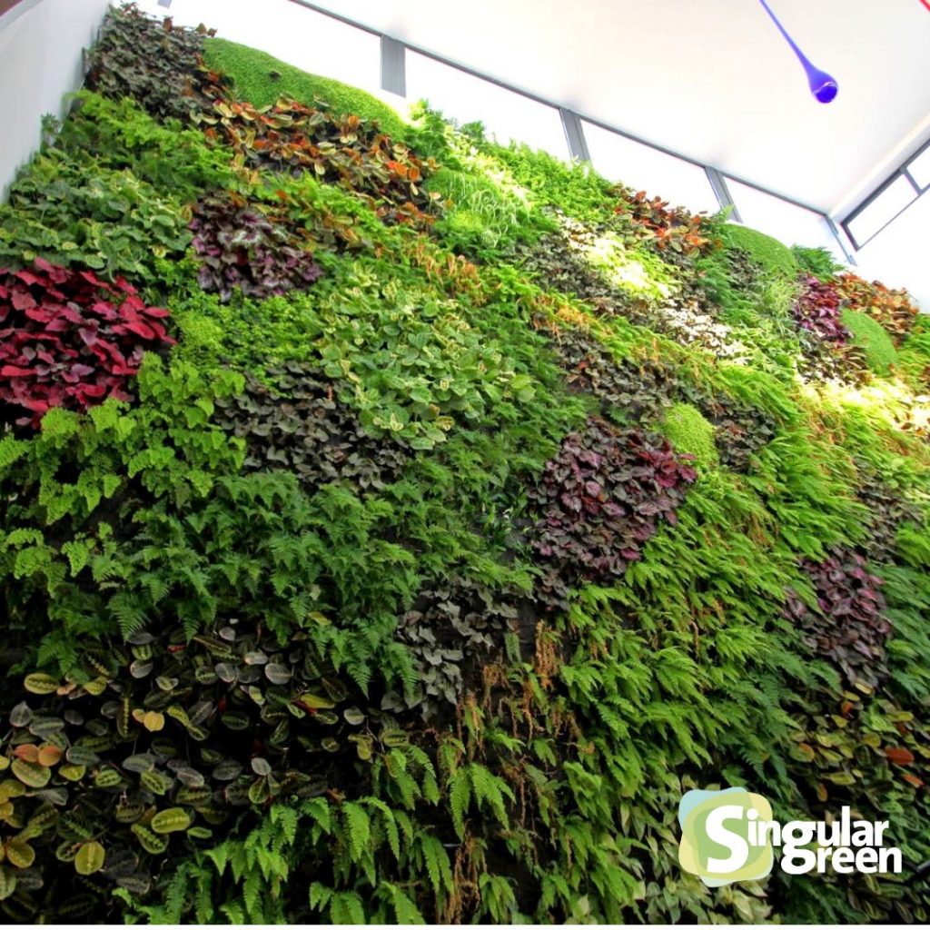 Jardín vertical matimex almassora