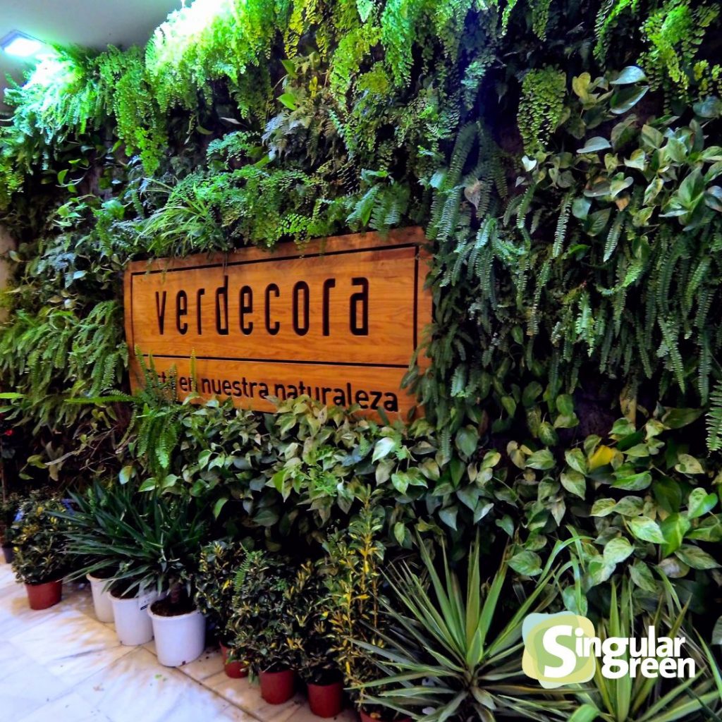 jardín vertical verdecora, Valencia