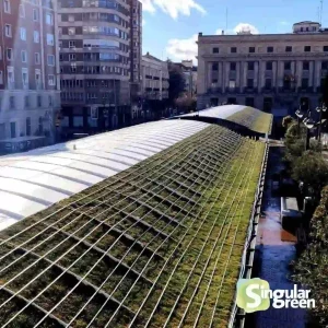 cubierta vegetal plaza españa, Valladolid