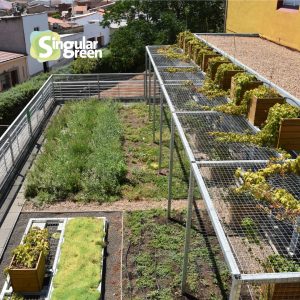 cubiertas vegetales solana de los barros