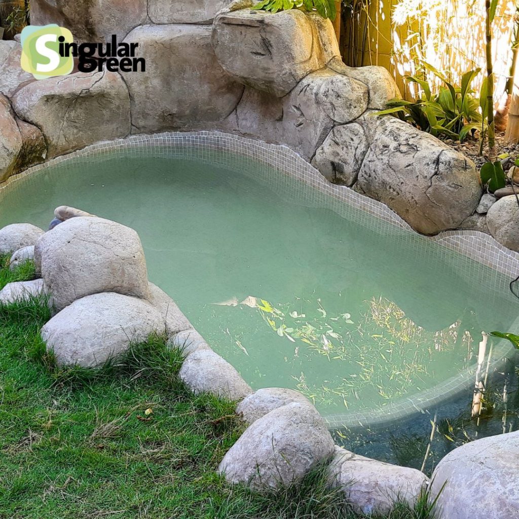 reconversión piscina muchamiel