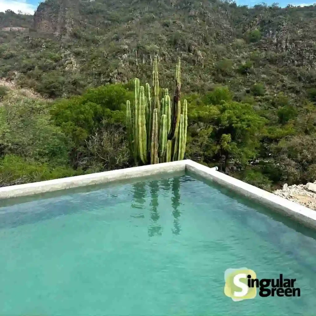 piscina natural queranto, México
