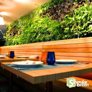 Jardín vertical en restaurante cheese Bar, Barcelona