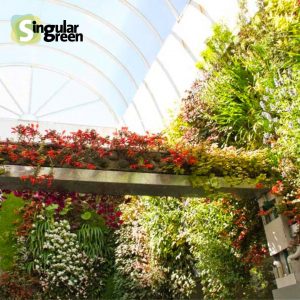 Jardín vertical en inndex Buenos aires