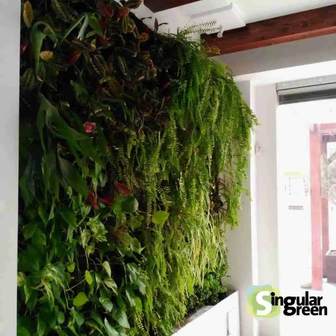 Jardín vertical restaurante guardamar, Alicante