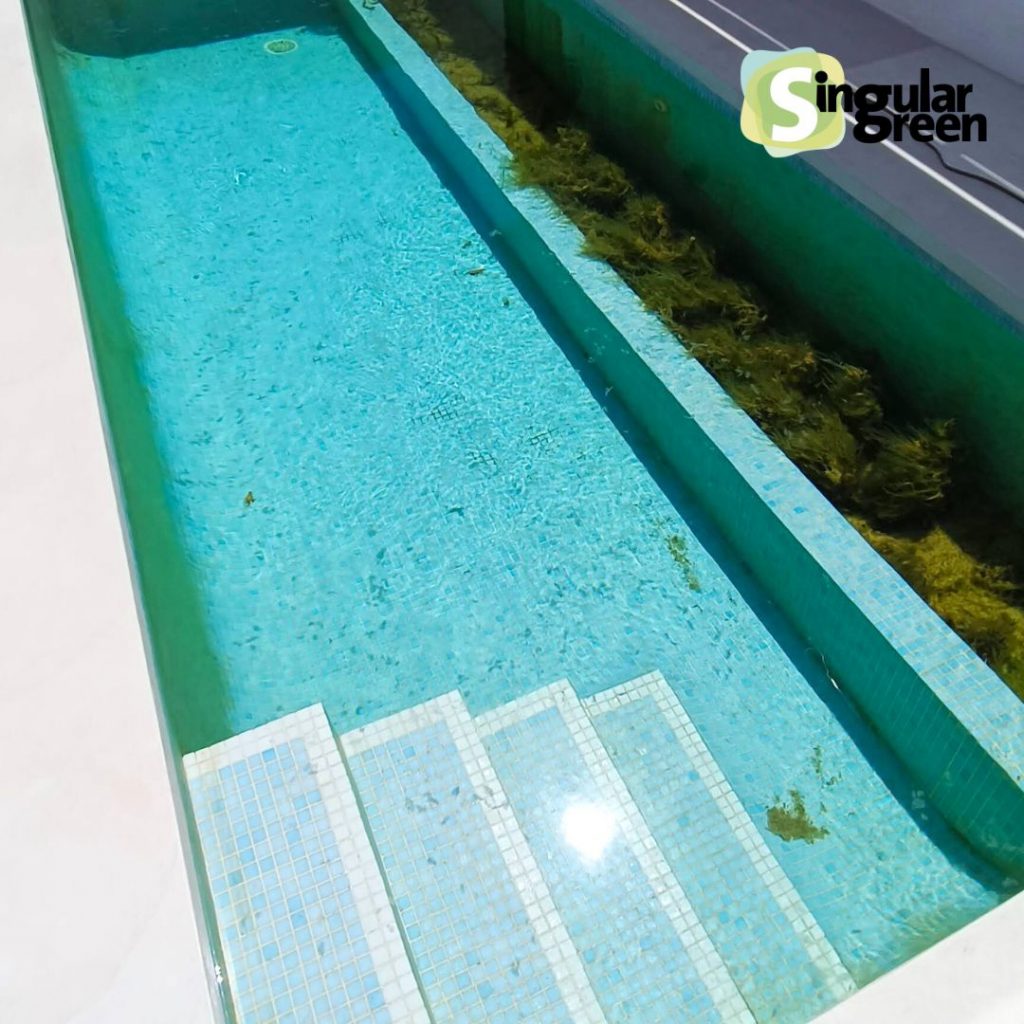 piscina naturalizada