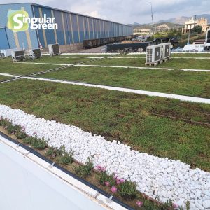 Cubierta vegetal en Sagunto