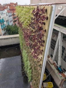 Suministro de jardin vertical profesional en Madrid