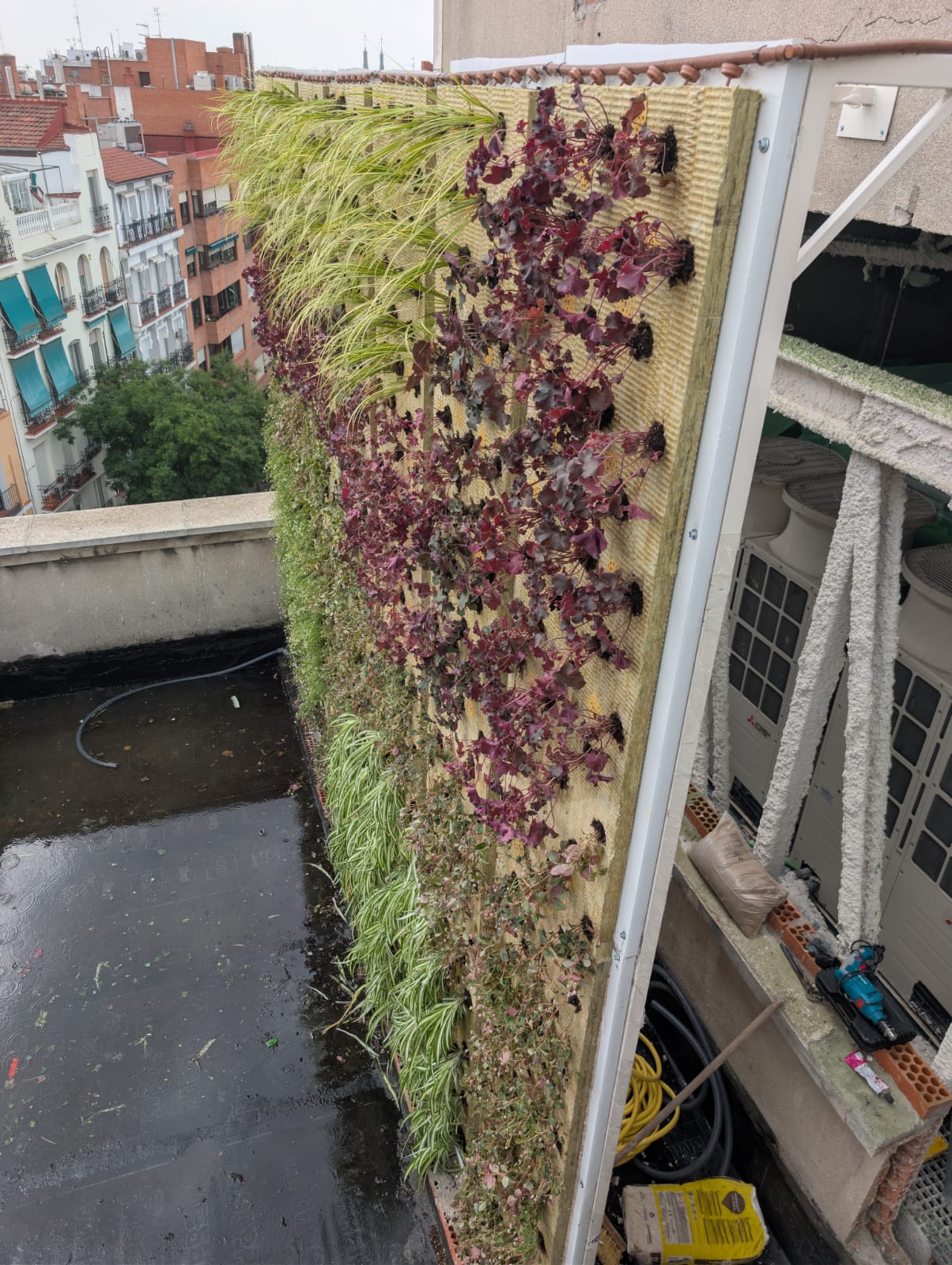 Jardines verticales de SingularGreen terminados en Madrid