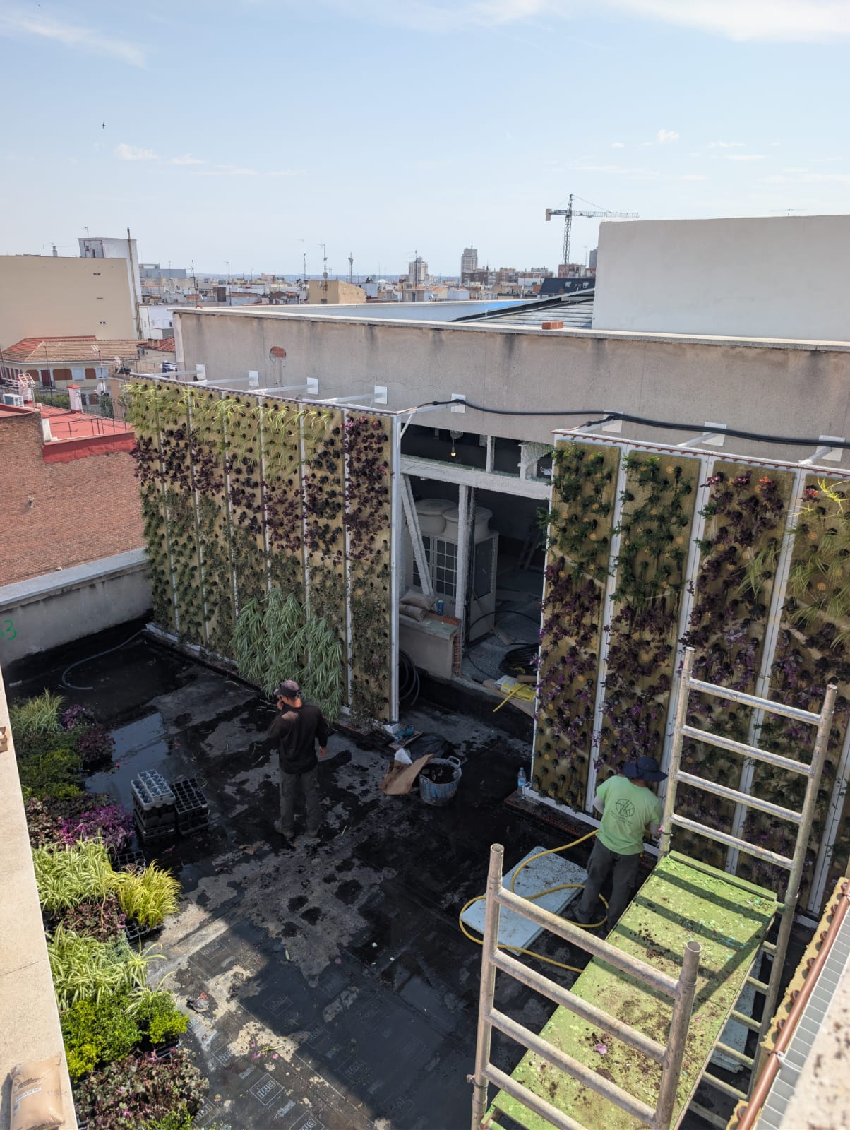 Instalación de paneles hidropónicos F+P en fachada de Madrid