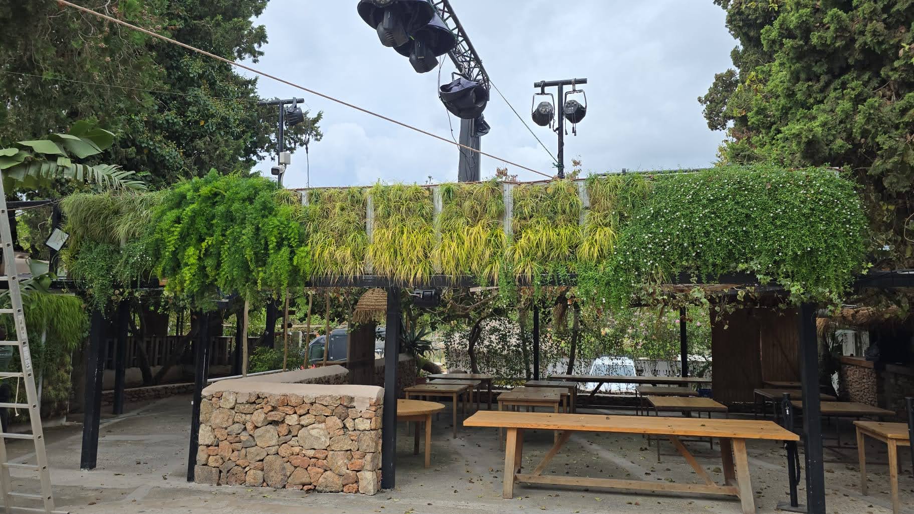 Detalle del crecimiento vegetal del jardín vertical en Ibiza