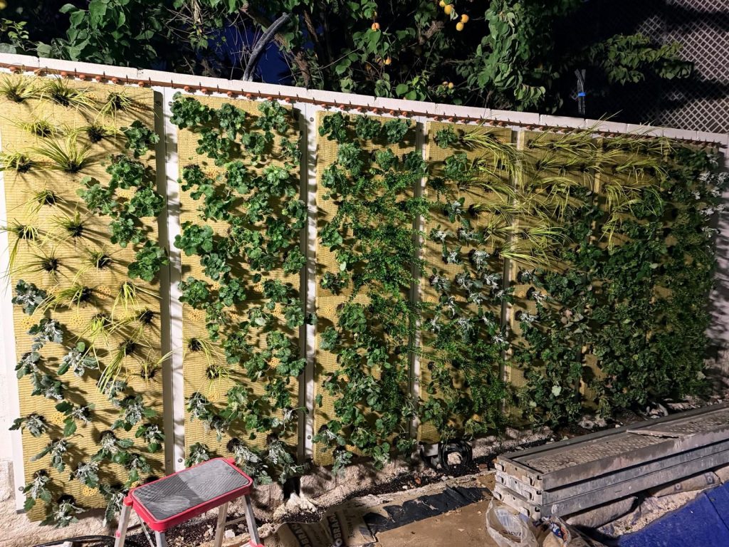 Suministro de jardín vertical profesional en Rivas Vaciamadrid recién terminado