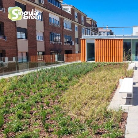 Cubierta vegetal en Castellón