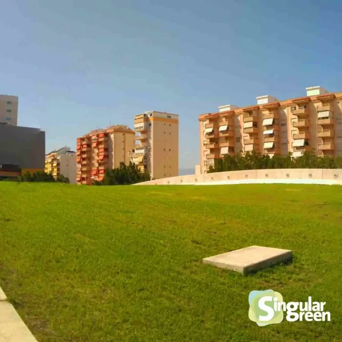 cubierta vegetal gandia